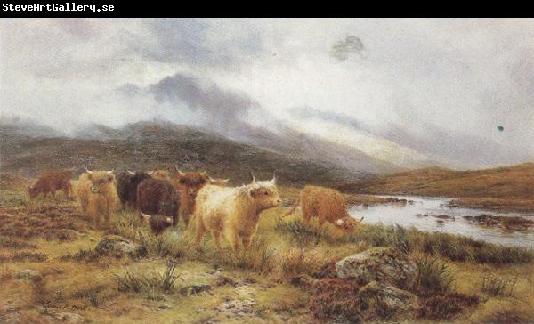 Louis bosworth hurt Highland Cattle on the Banks of a River (mk37)
